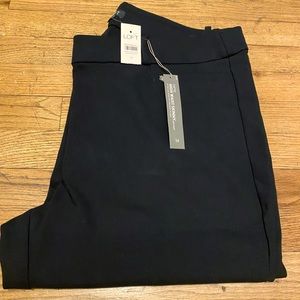 Loft High Waist Skinny Curvy Back Pants